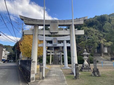 牛頭天王八幡宮・鳥居 福岡市博多区,神社仏閣,イチョウの写真素材