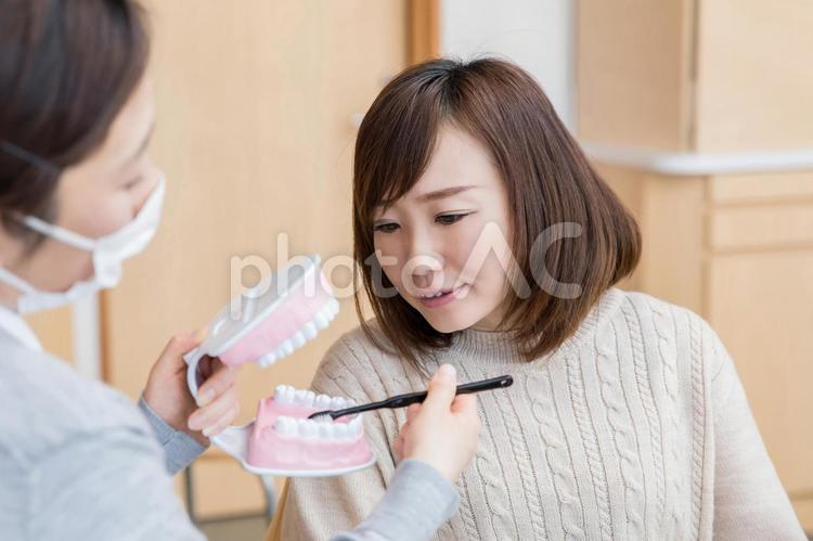 歯磨き指導（奥歯） 歯科衛生士,歯磨き指導,歯医者の写真素材