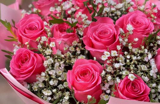 薔薇の花束 薔薇の花束の写真