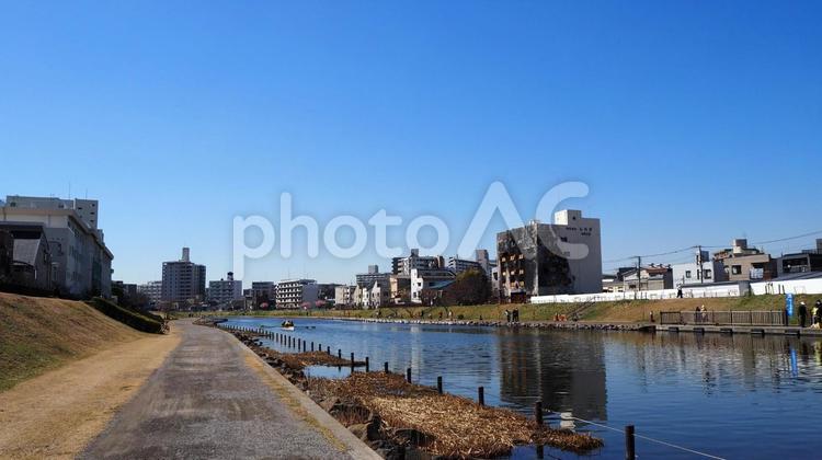 旧中川沿いの散策路（東京都・江戸川区） 春,旧中川,川の写真素材