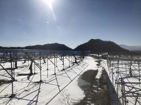 長野電鉄 車窓より 長野電鉄 車窓より 長野電鉄,車窓,雪の写真素材