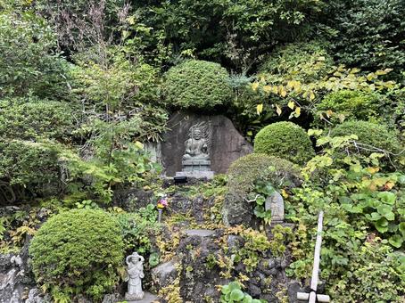 長谷寺 長谷寺 長谷寺,寺院,鎌倉の写真素材