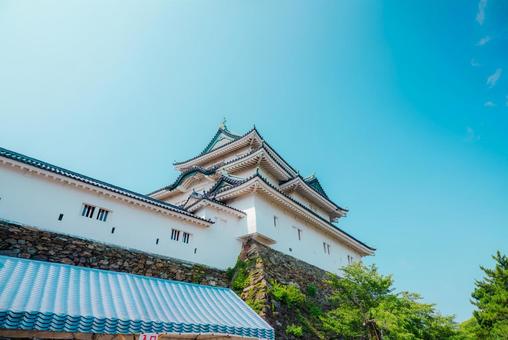 【和歌山】和歌山城 2025 【和歌山】和歌山城 2025の写真