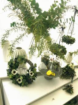 Photo, green, interior, flower arrangement, 