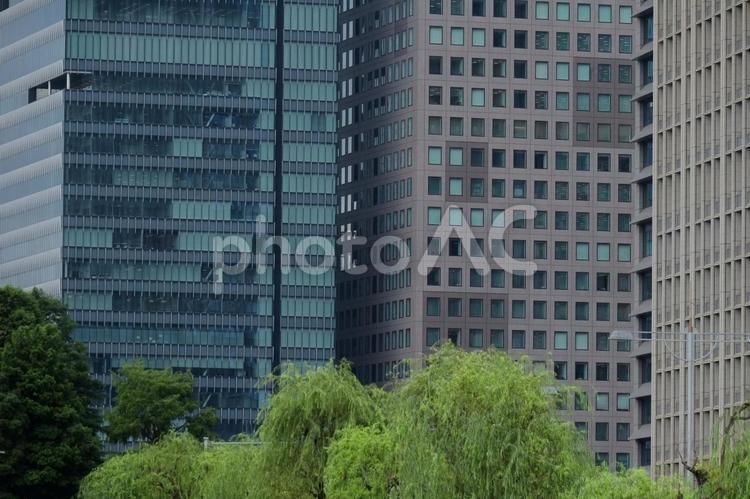 街路樹 街路樹,ビル,都市緑化の写真素材