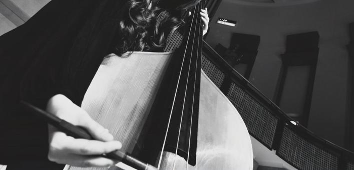 Photo, monochrome, black and white, contrabass, 