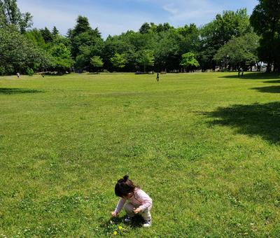公園 公園の写真