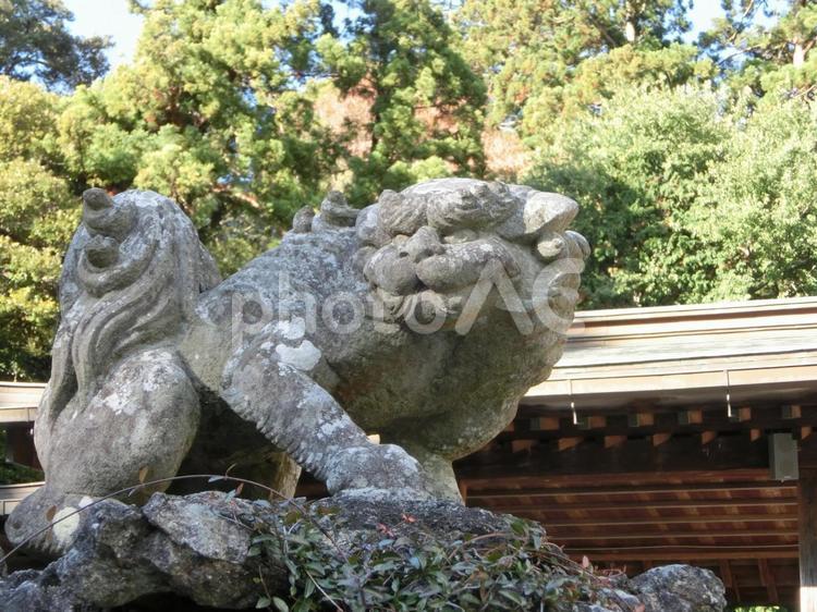 筑波山神社の風景-17 筑波山神社,茨城県つくば市,境内の写真素材