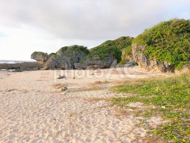 南国の美しい砂浜 海,海辺,浜辺の写真素材