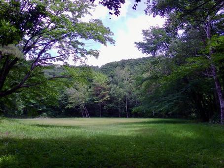 Photo, natural, wood, mountain, 