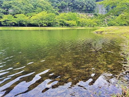 下北山公園 夏の公園 下北山公園 夏の公園 奈良県下北山村,アウトドア,温泉の写真素材