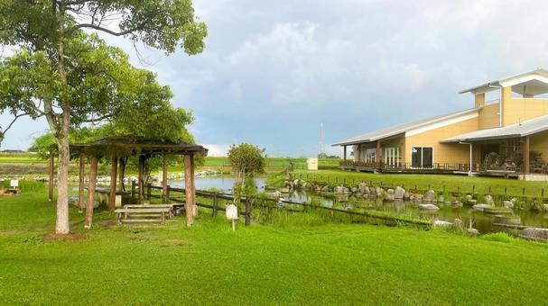 ひょうたん島公園の夏風景 ひょうたん島公園の夏風景の写真