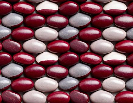 赤灰白豆の整列模様の写真