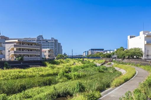 柏尾川 柏尾川の写真