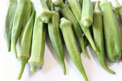 おくら　オクラ　陸蓮根 おくら,陸蓮根,緑の写真素材