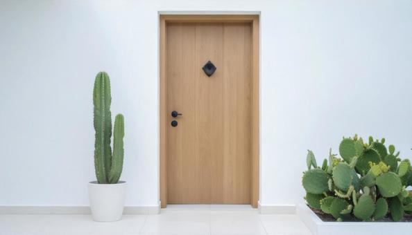 ナチュラルでシンプルな玄関ドア ナチュラルでシンプルな玄関ドアの写真