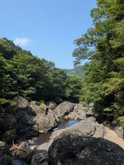 駆け抜けたい 駆け抜けたいの写真