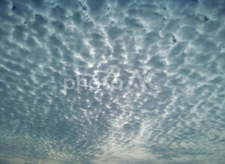 空と雲 空,鱗雲,雲の写真素材