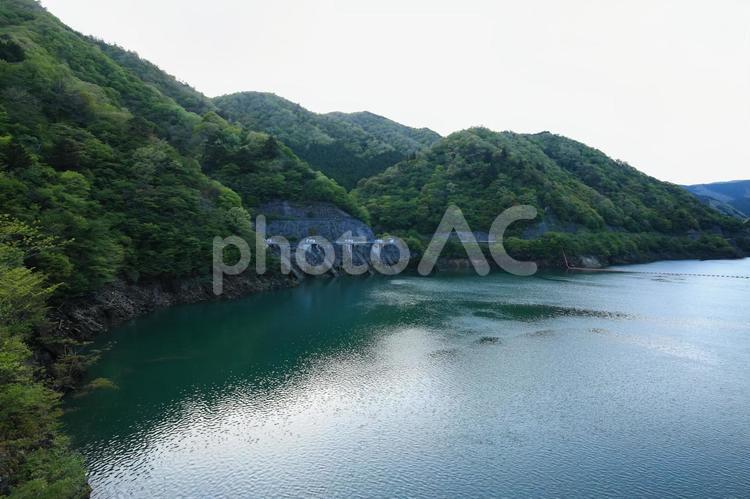 兵庫県神河町　長谷ダム　下部調整池 長谷ダム,はせダム,ダムの写真素材