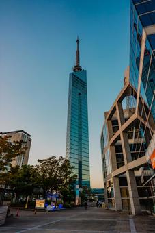 【福岡】福岡タワー 福岡,綺麗,風景の写真素材