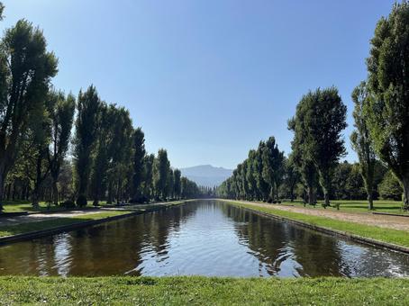 水辺の並木 水辺の並木 空,自然,風景の写真素材
