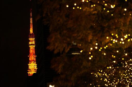 東京タワーの夜景とイルミネーション 東京タワー,イルミネーション,街頭の写真素材