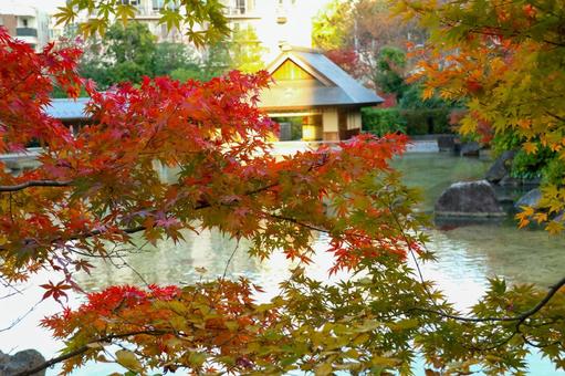 紅葉に染まる日本庭園 紅葉に染まる日本庭園の写真