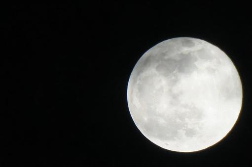 December Full Moon "Cold Moon" Night Moon Series 6, JPG December Full Moon "Cold Moon" Night Moon Series 6, month, night sky, rabbit, JPG
