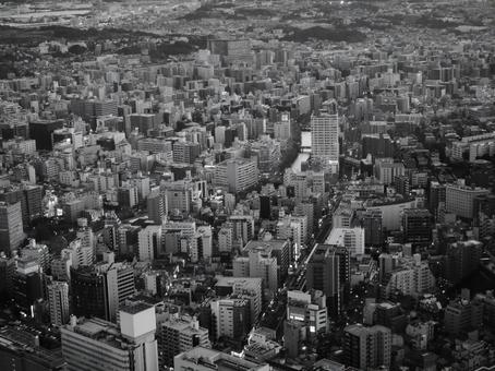 横浜のビル群 横浜のビル群 白黒,モノクロ,モノクロームの写真素材
