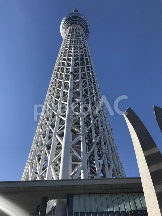 スカイツリーを見上げる ガラス製品,スカイツリー,ビルの写真素材