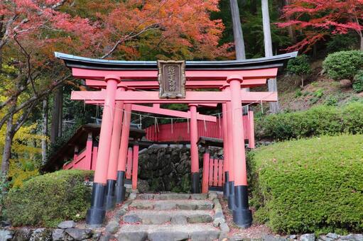 善峯寺　稲荷社 善峯寺,稲荷社,よしみねでらの写真素材