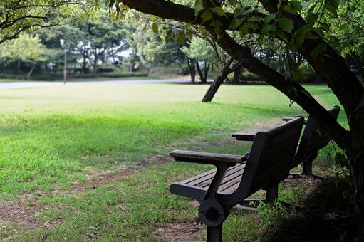 木陰のベンチから眺める夏の公園の広場 ベンチ,公園,広場の写真素材