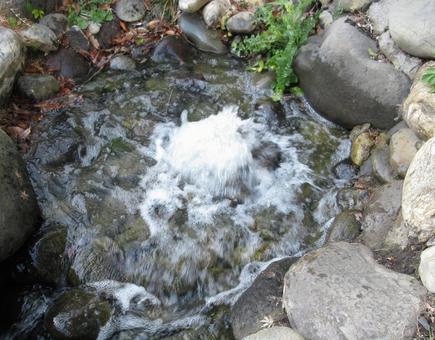 湧き水 湧き水の写真