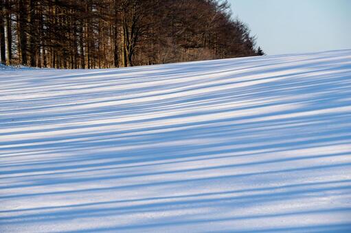 雪原に伸びる樹影 雪面,冬の丘,斜光の写真素材