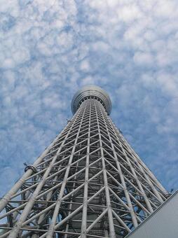 Blue Sky and Sky Tree 2, sky tree, building, blue sky, JPG