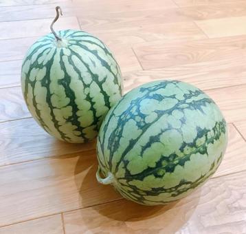 西瓜 西瓜 西瓜,スイカ,季節の写真素材