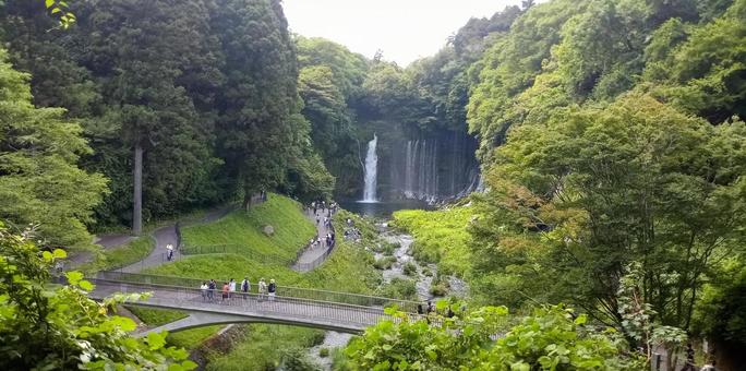 白糸の滝 富士宮 白糸の滝 富士宮 白糸の滝,世界遺産,天然記念物の写真素材