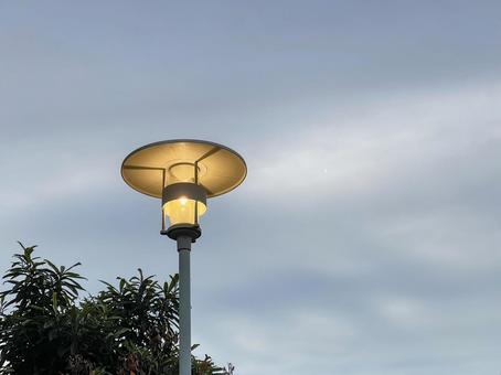 神田川11月：遊歩道の街灯 2025 街灯,曇り,雲の写真素材