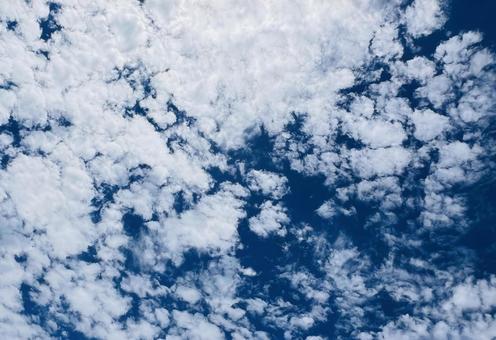 青空と白い雲 空,青空,雲の写真素材