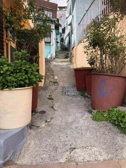 韓国 釜山 甘川文化村 韓国 釜山 甘川文化村の写真