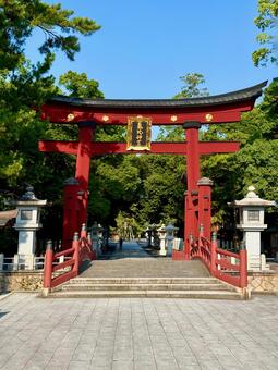 夏の気比神宮　表参道と重文大鳥居 神社,大鳥居,福井の写真素材