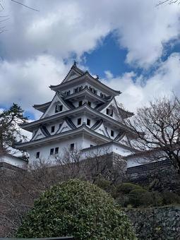 郡上八幡城1 郡上八幡城,城址,続日本100名城の写真素材