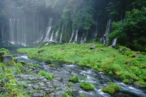 白糸の滝、小雨煙る日の写真 白糸の滝、小雨煙る日の写真の写真