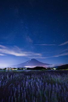 Lavender fields and Mt. Fuji at night, JPG Lavender fields and Mt. Fuji at night, JPG