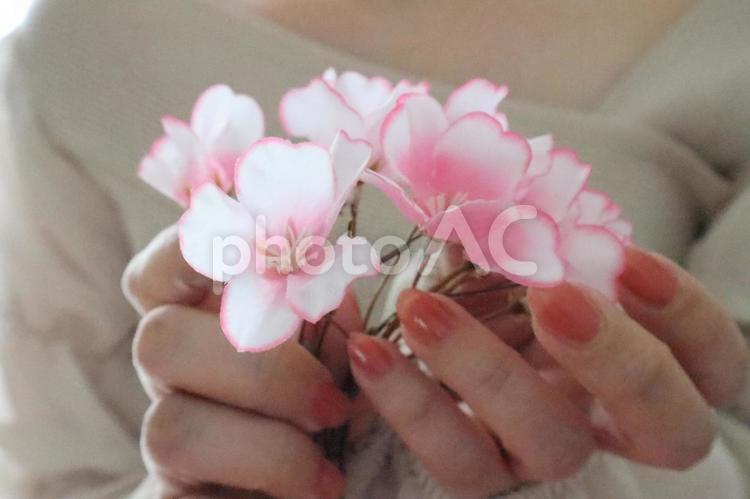桜の花を手に持つ 桜,花,手で持つの写真素材