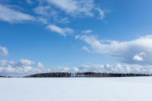雪原に並ぶ林 雪原に並ぶ林 青空,雲,雪原の写真素材