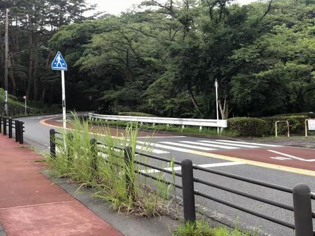 自然風景 自然風景の写真
