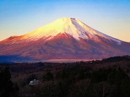 富士山の写真