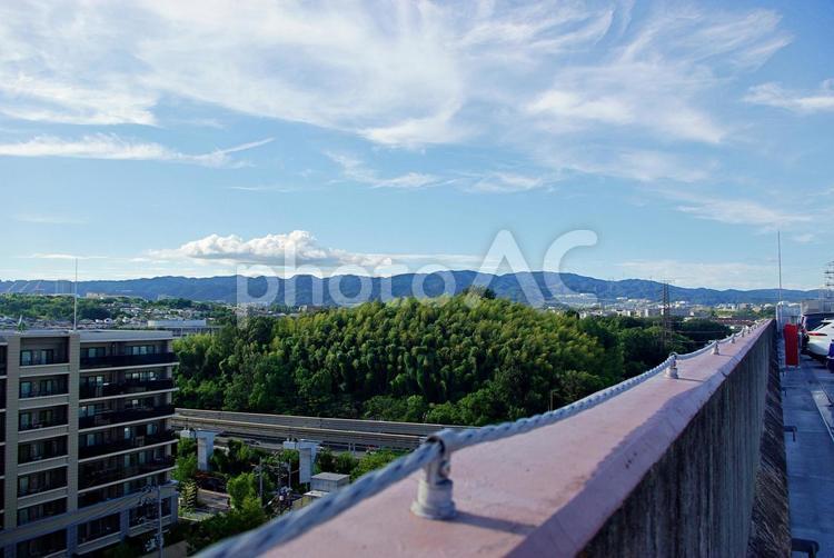 大阪北摂の夏の風景 北摂,大阪モノレール,軌道の写真素材