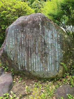 柿田川公園 柿田川公園の写真